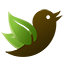 TreeWatch custom twitter bird