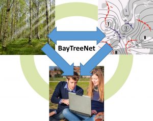 Baytreenet-Dreieck | Baytreenet, FAU